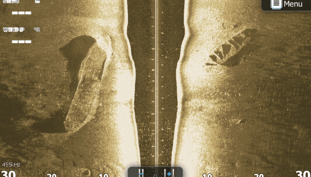 5_P.Malinski_grant_NCN_2018_19