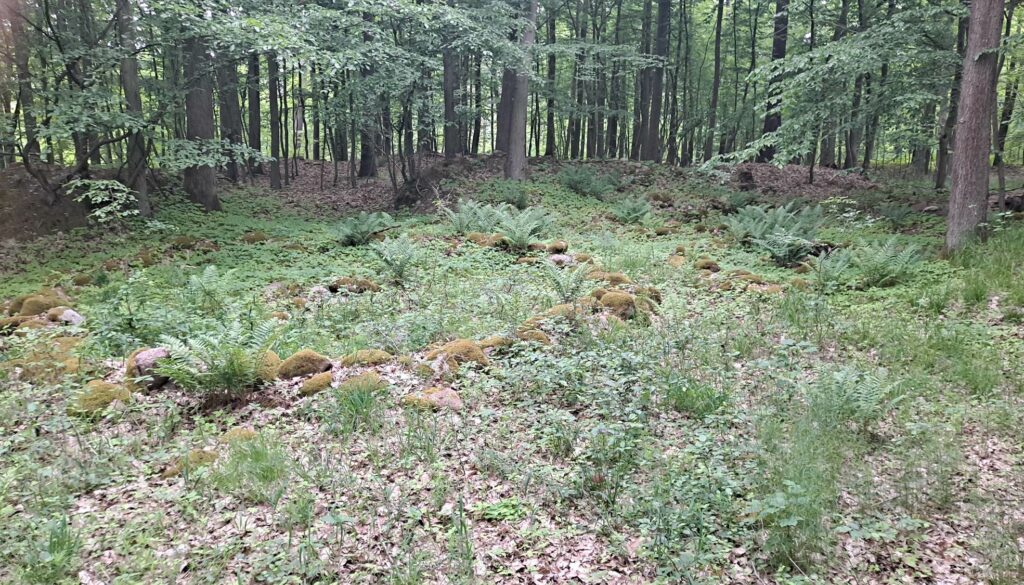 7A