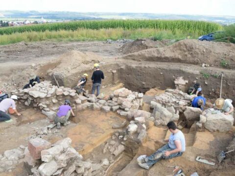 Wykopaliska w ottońskim kościele Radegundi w Helfta, Katedra Archeologii US