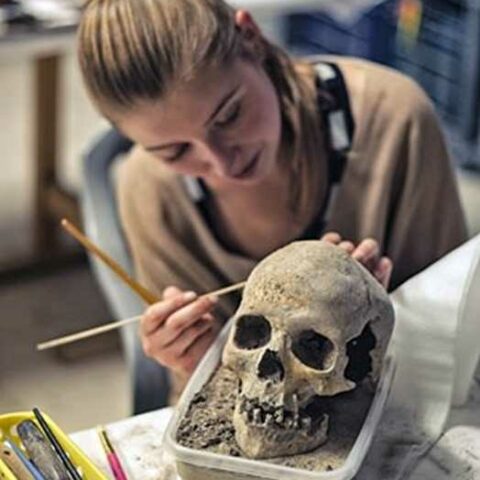 dr Katarzyna Harabasz