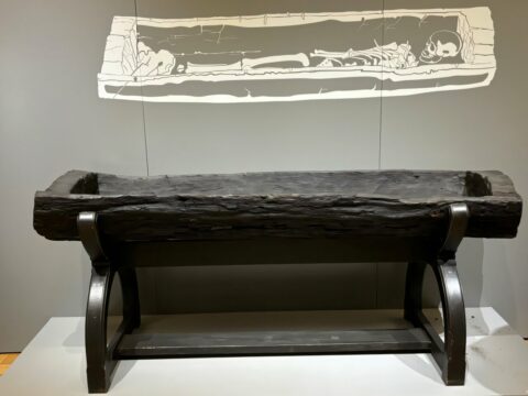 the-princess-of-bagicz